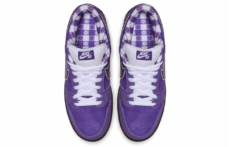 CONCEPTS x Nike Dunk SB Pro