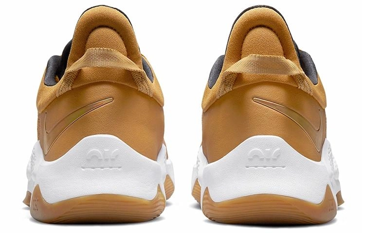 Nike PG 5 5