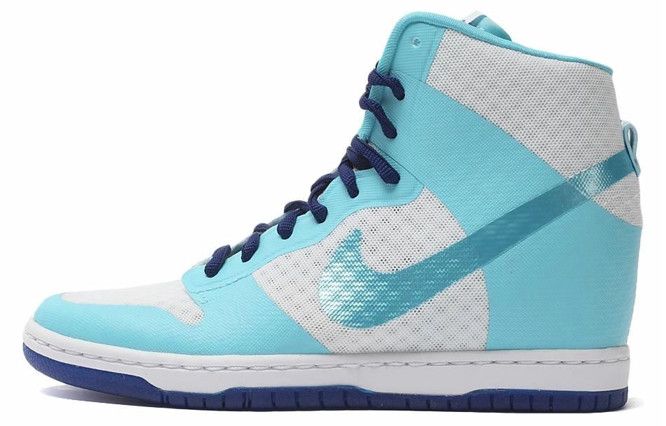 Nike Dunk 2.0