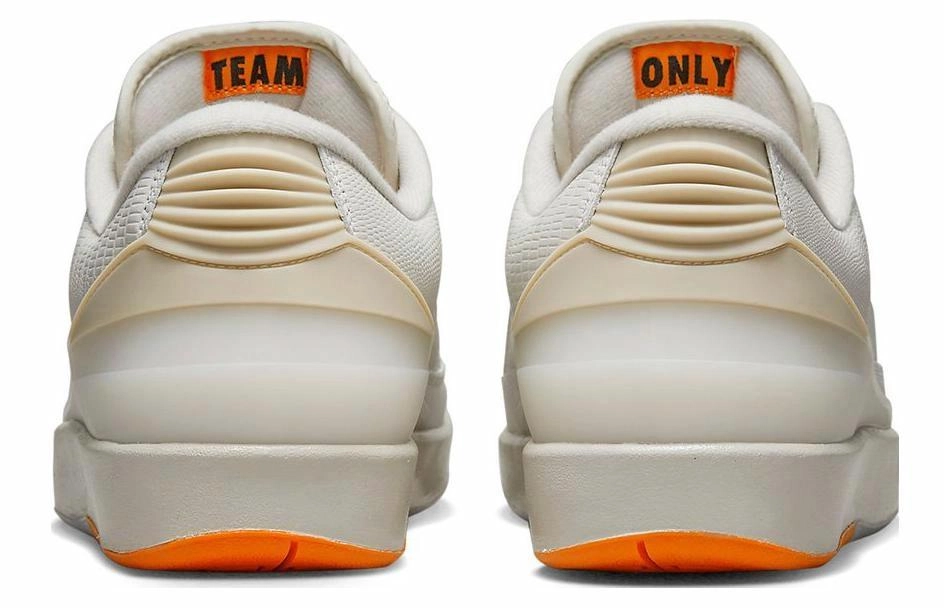 shelflife x Jordan Air Jordan 2 retro low