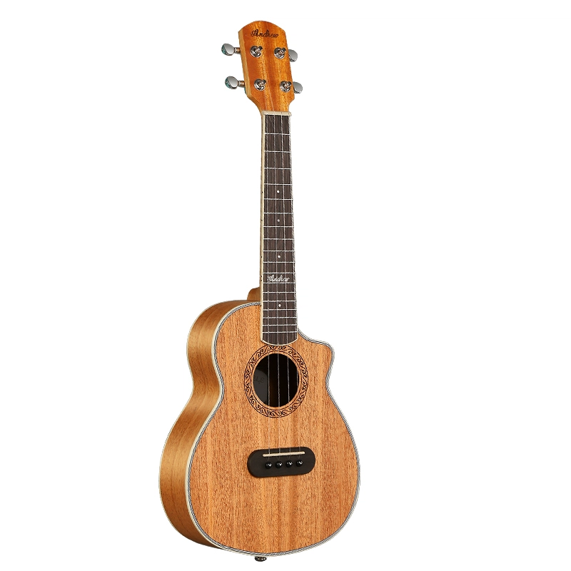 ANDREW 803D-83DBK 23'