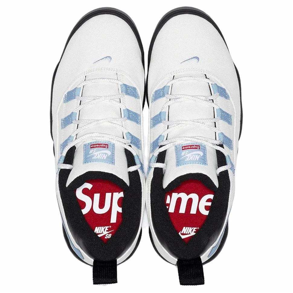 Supreme x Nike SB Darwin Low