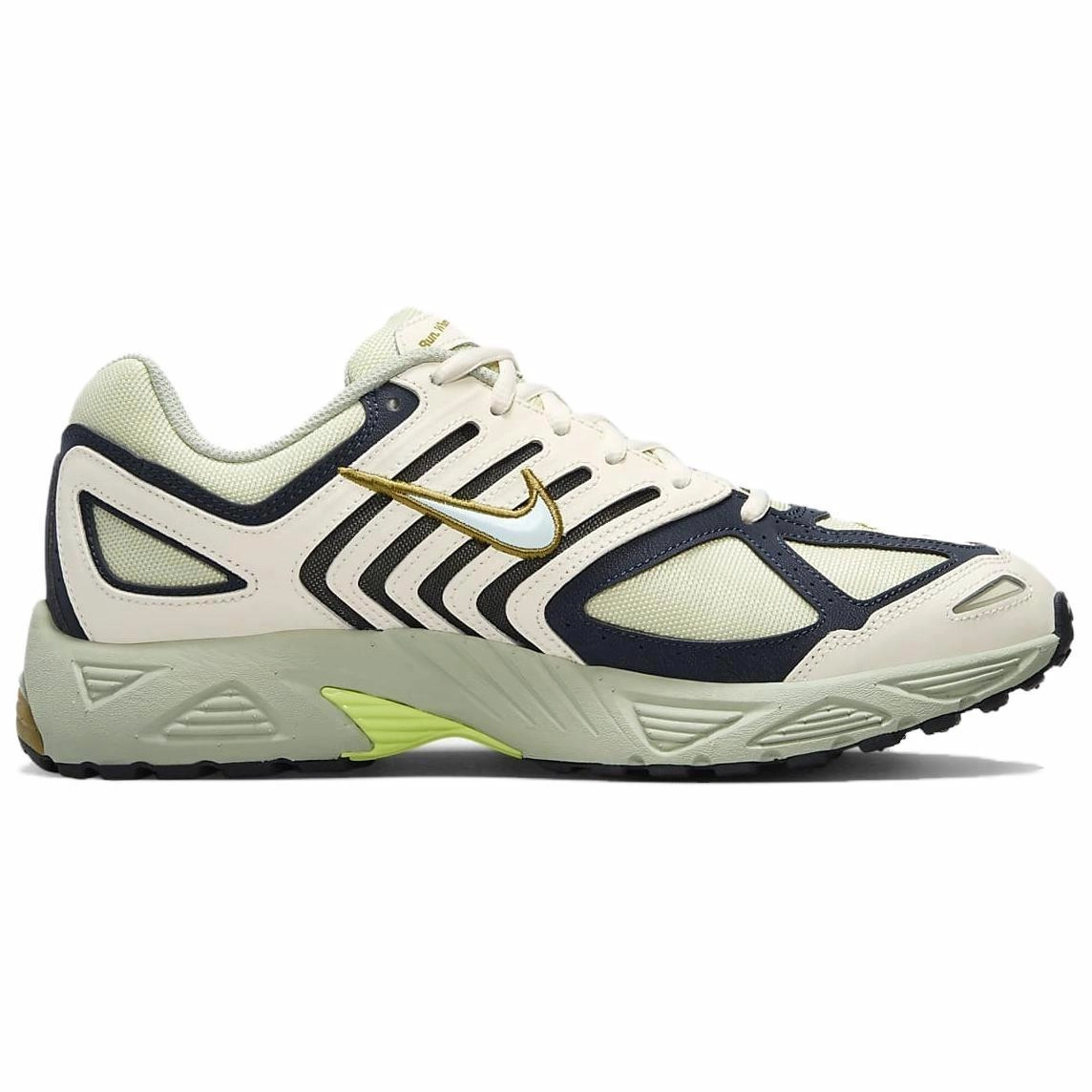 Nike Air Pegasus 2005