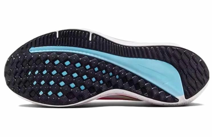 Nike Air Winflo 10