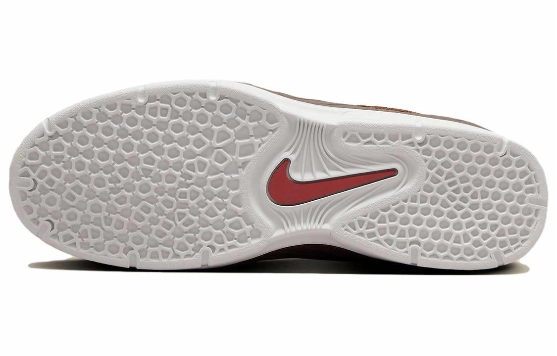 Nike Sb Vertebrae Bison