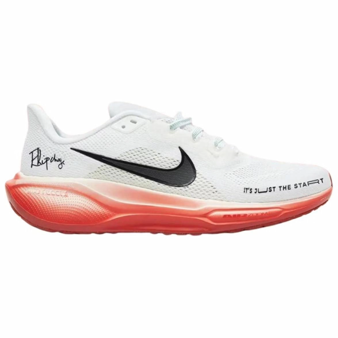 Nike Air Zoom Pegasus 41