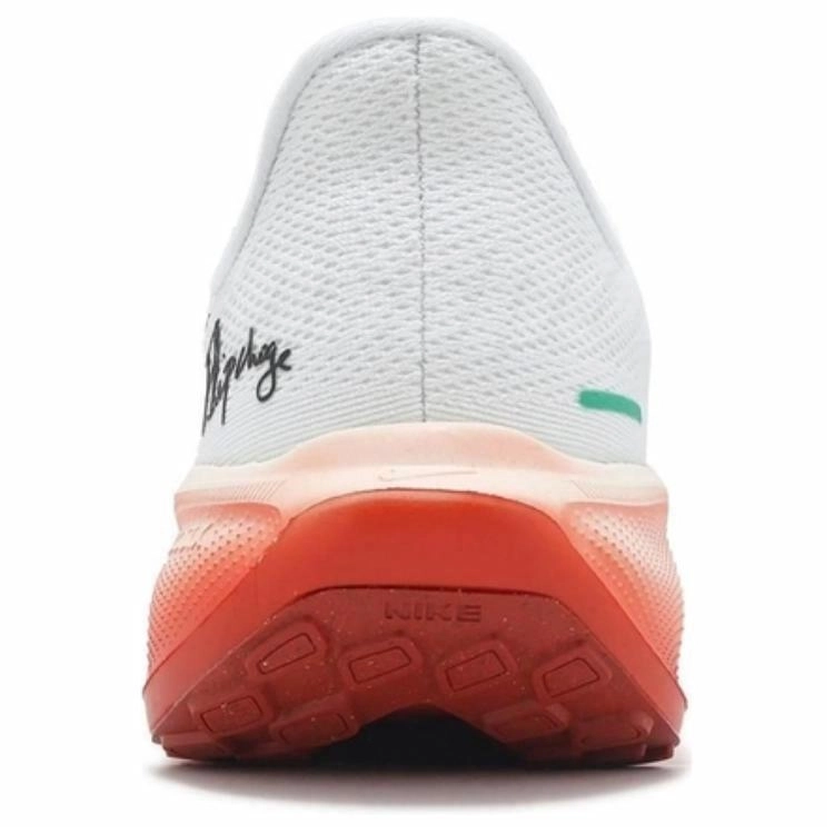 Nike Air Zoom Pegasus 41