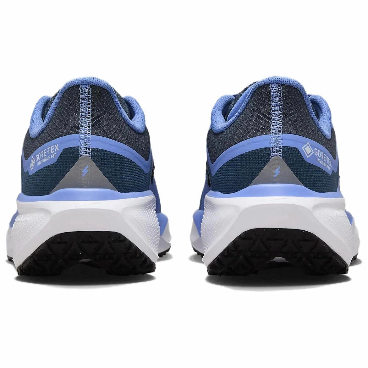 Nike Pegasus 41 GORE-TEX