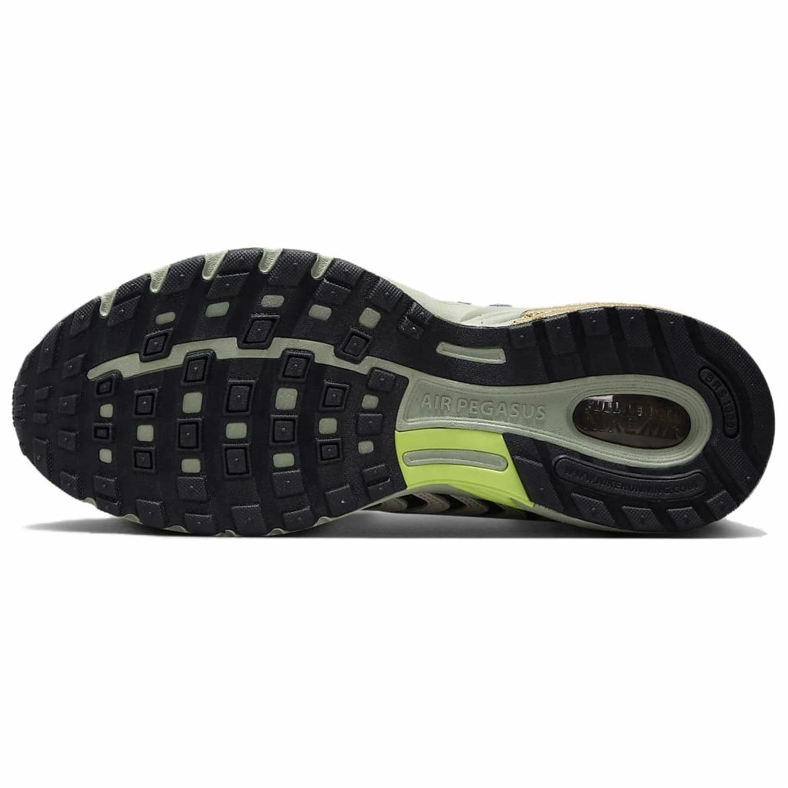 Nike Air Pegasus 2005