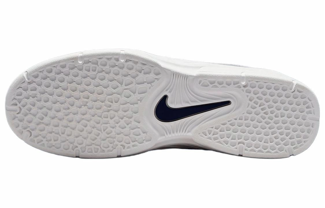 Nike Sb Vertebrae