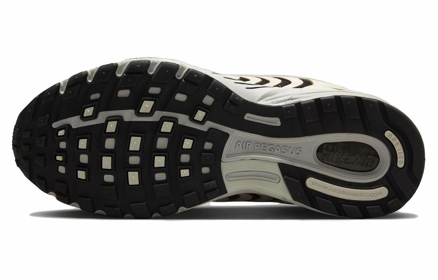 Nike Air Pegasus 2005
