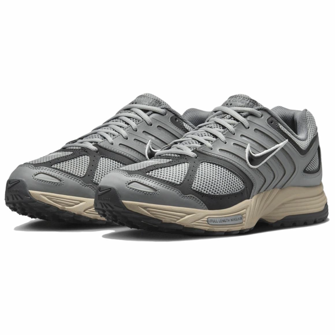 Nike Air Pegasus 2005