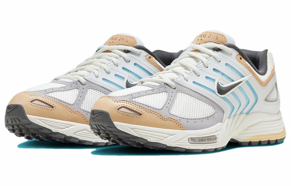 Nike Air Pegasus 2005