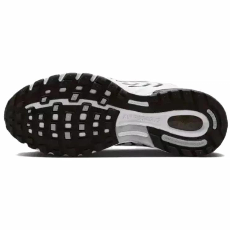 Nike Air Pegasus 2005