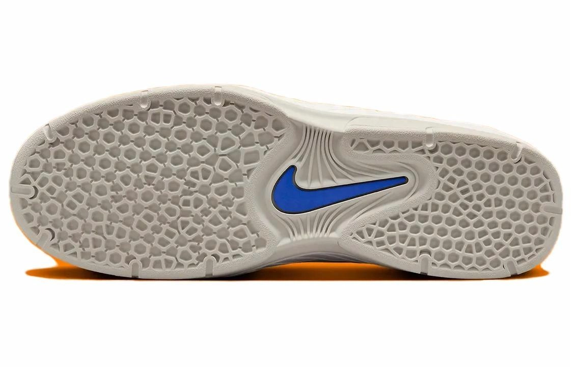 Nike Sb Vertebrae