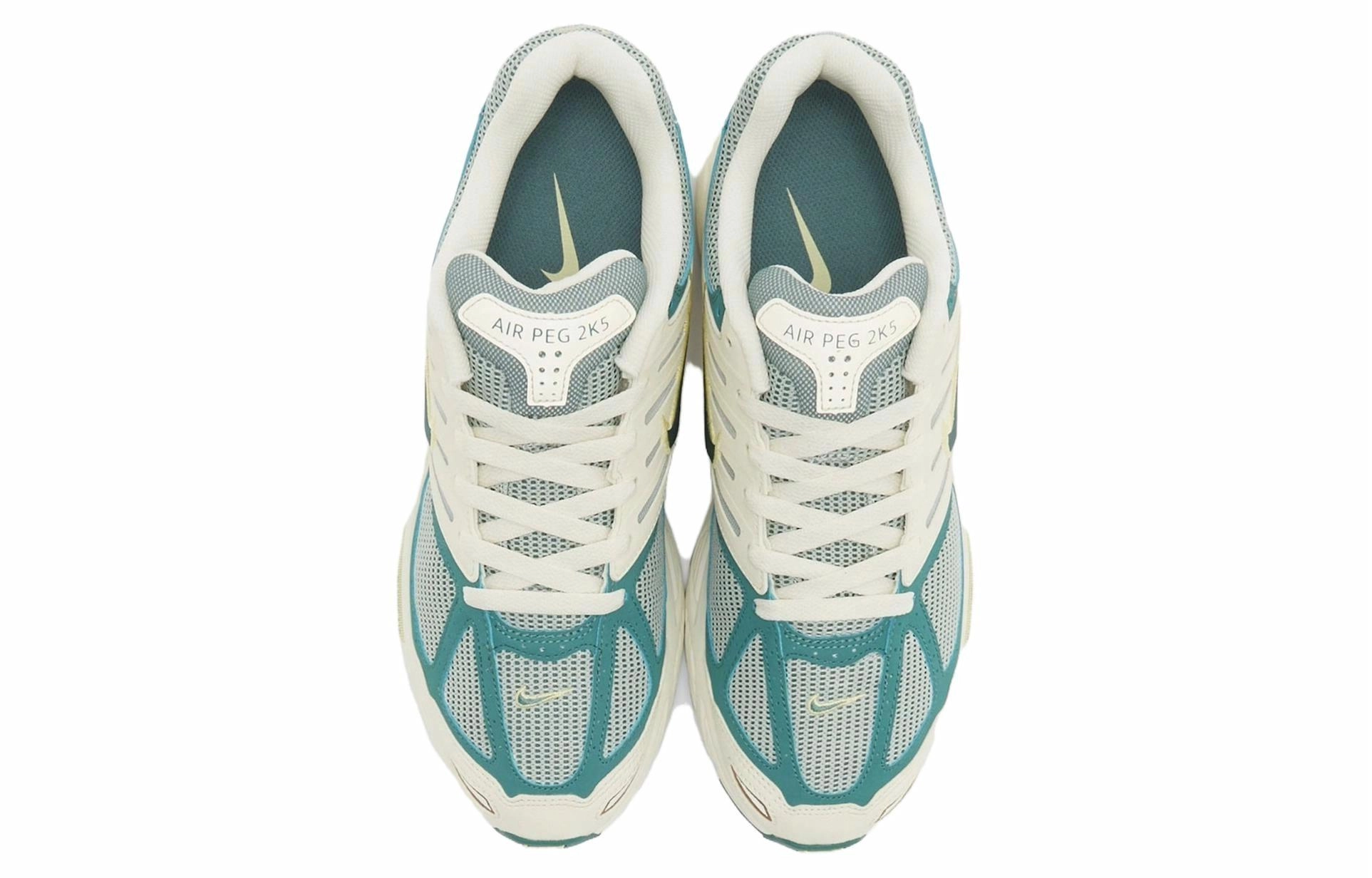 Nike Air Pegasus 2K5