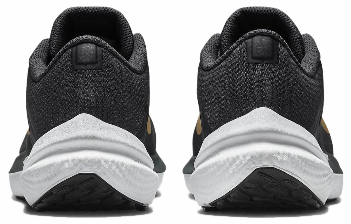 Nike Air Winflo 10