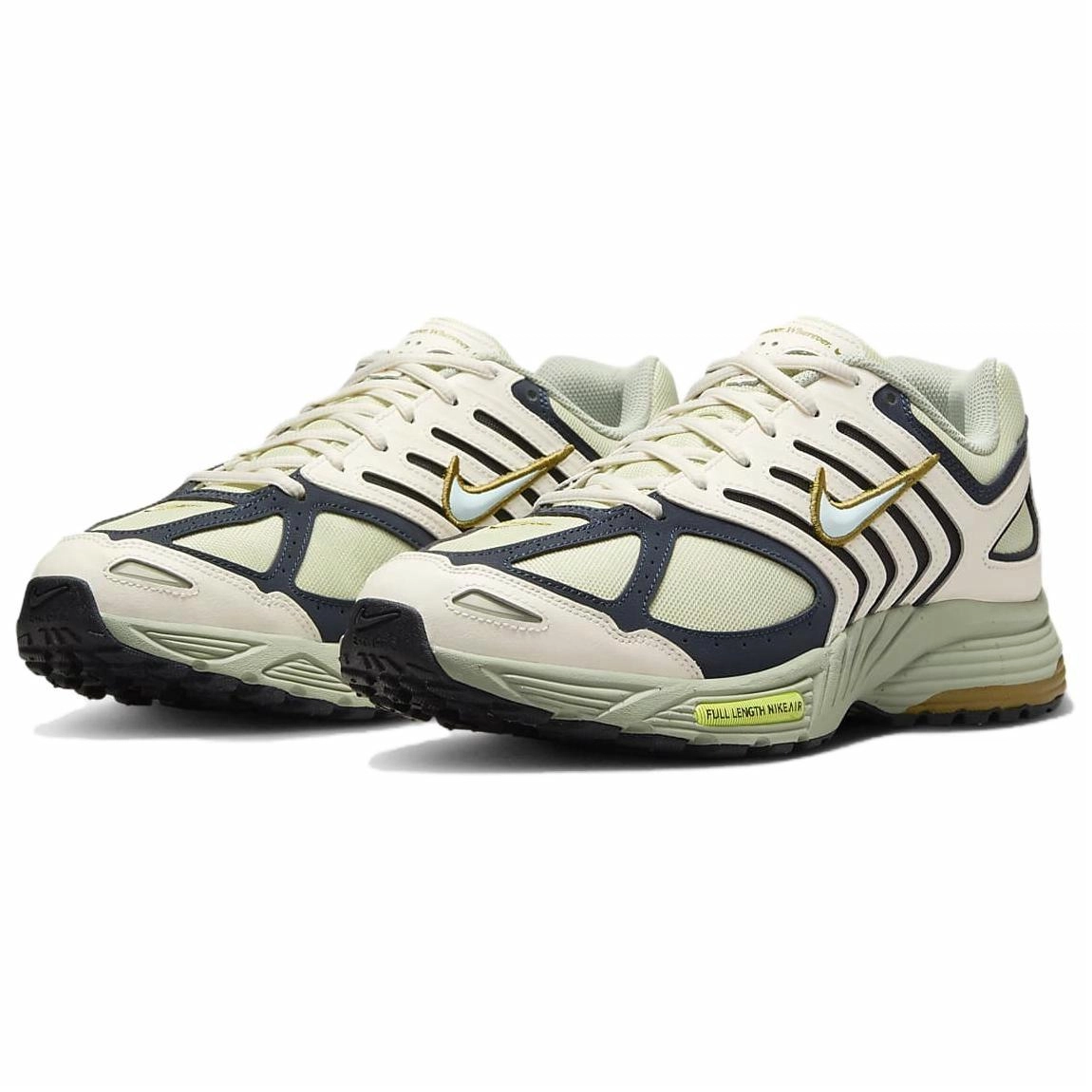 Nike Air Pegasus 2005