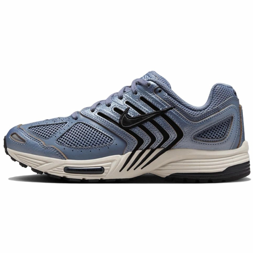 Nike Air Pegasus 2005