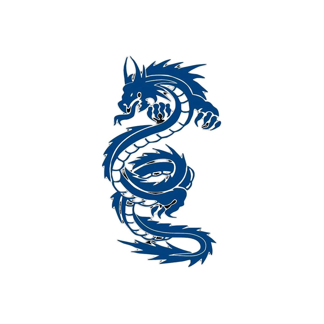 饰田  龙歌草本防水纹身贴 超酷大花臂
