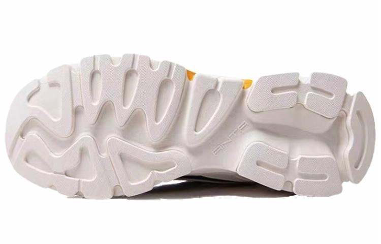 Anta