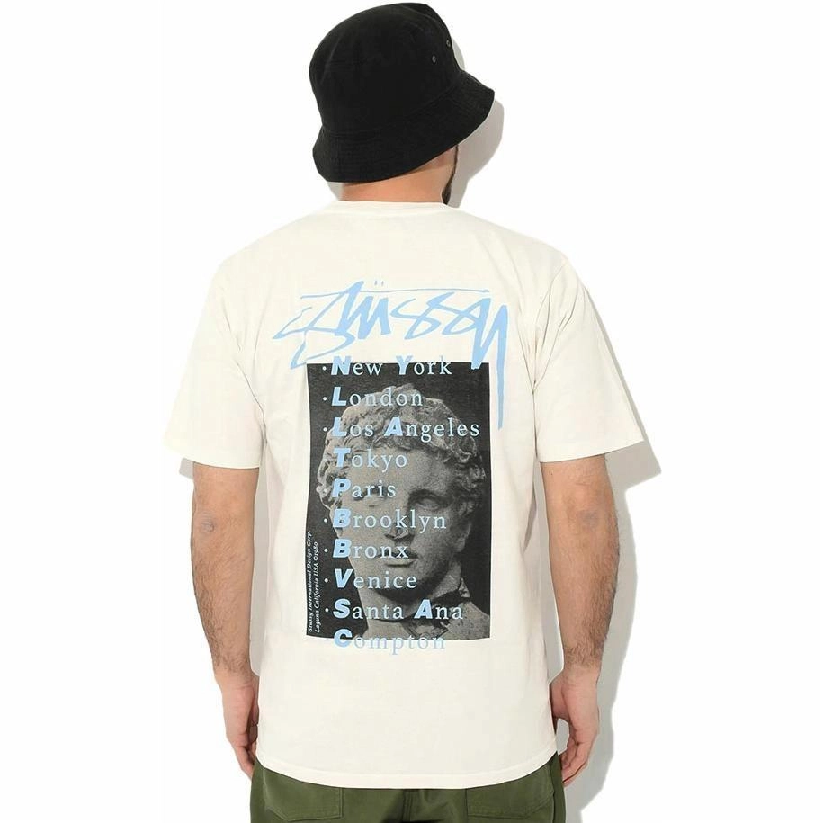 Stussy SS22 Statue Pig Dyed Tee T