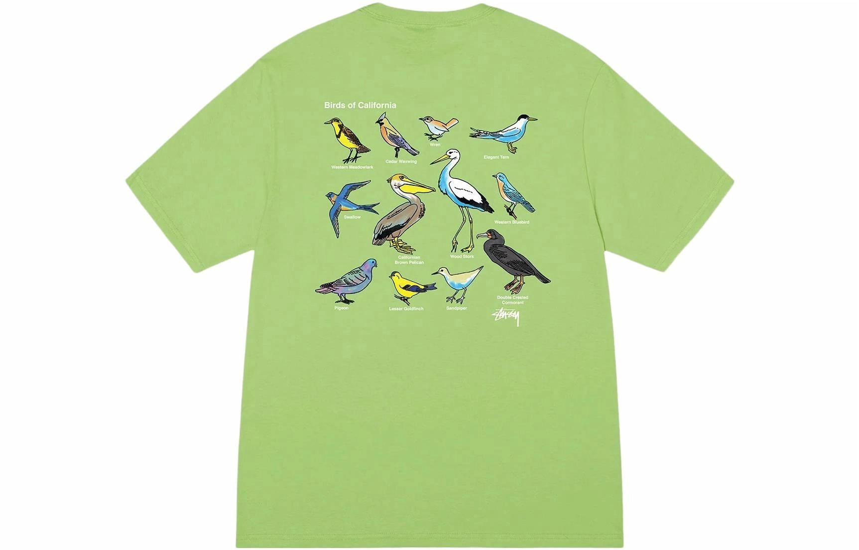 Stussy 2023 T