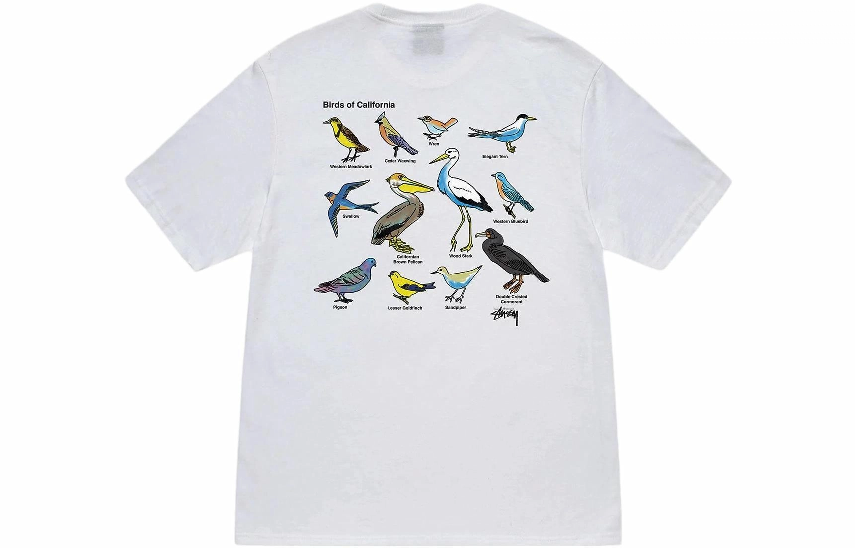 Stussy 2023 T