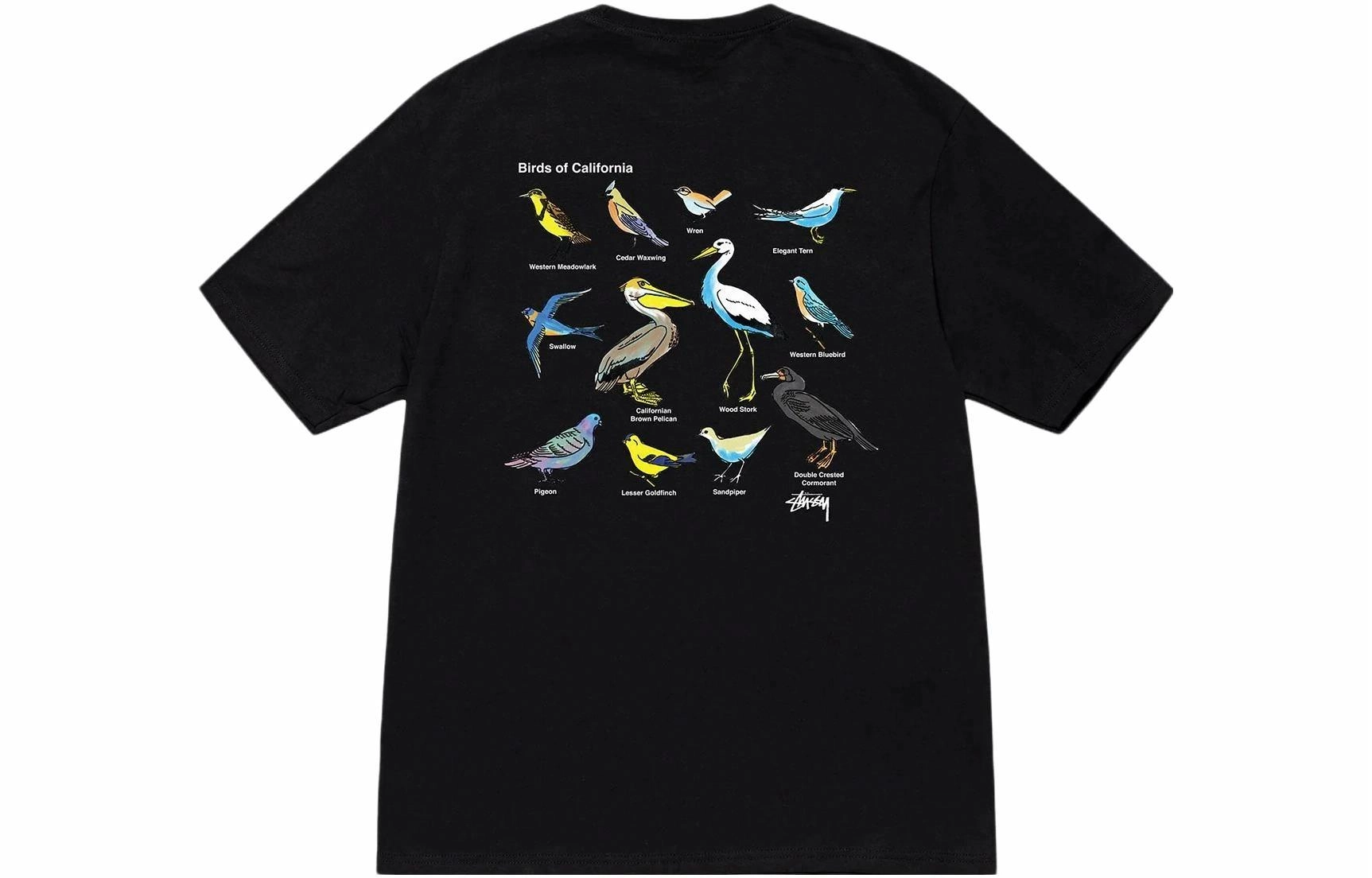 Stussy 2023 T