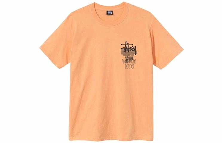 Stussy Ruins Tee T