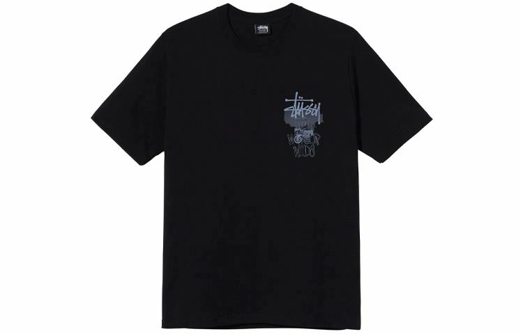 Stussy Ruins Tee T