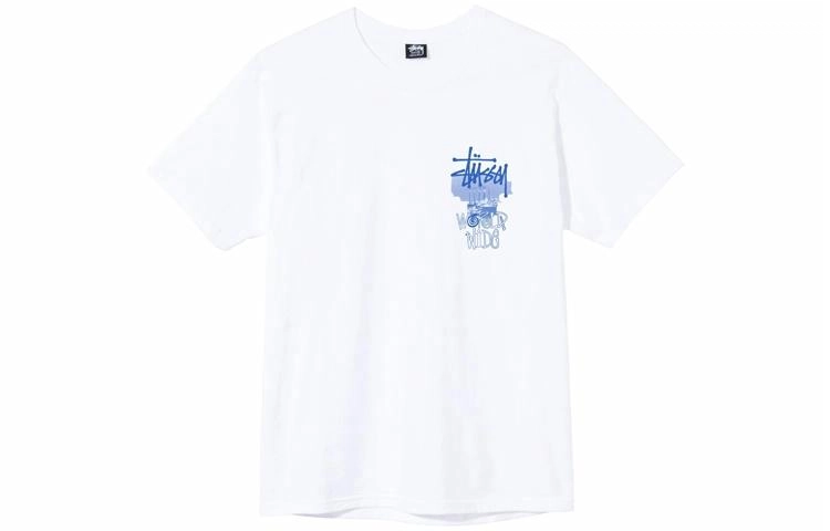 Stussy Ruins Tee T