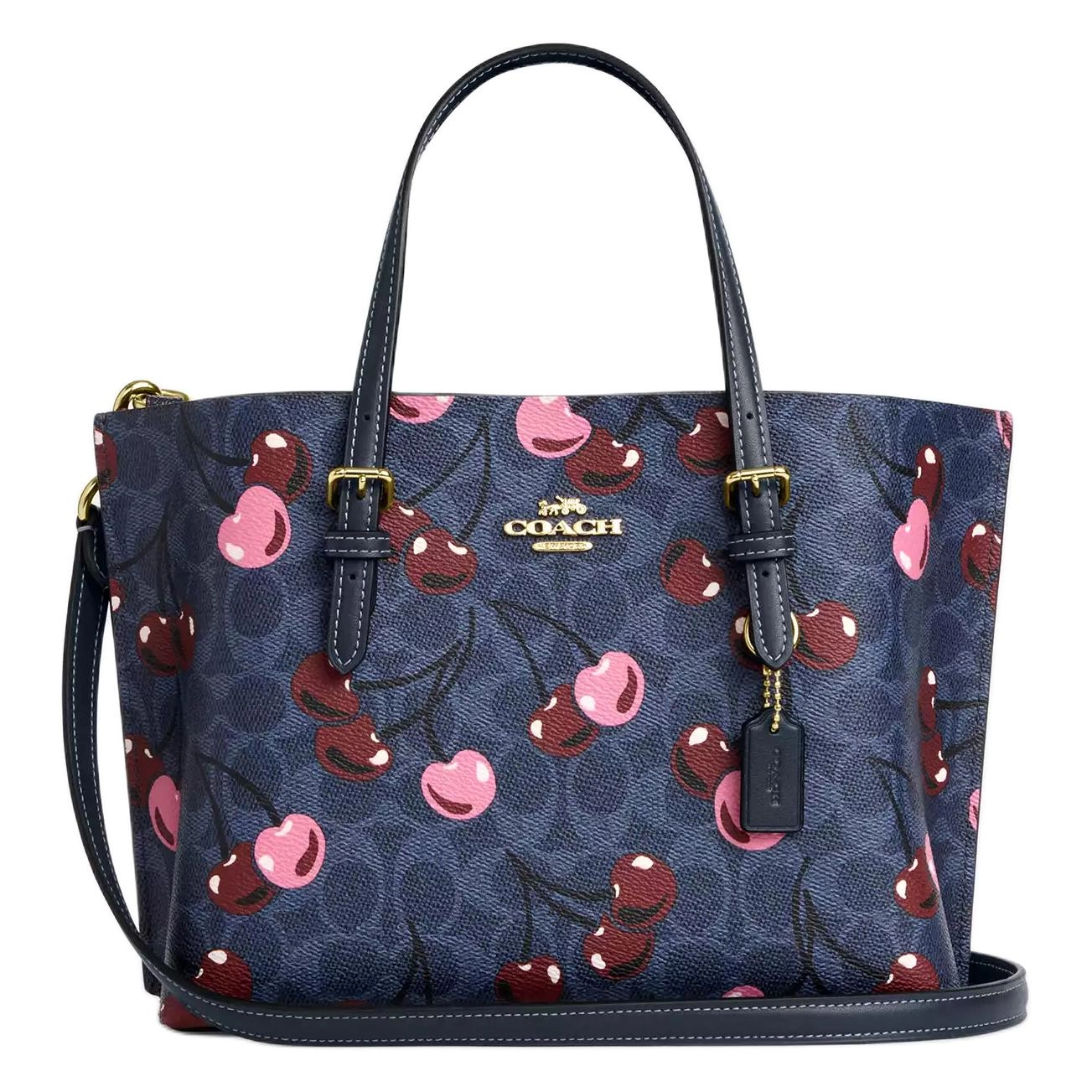 COACH Mollie 25 Tote