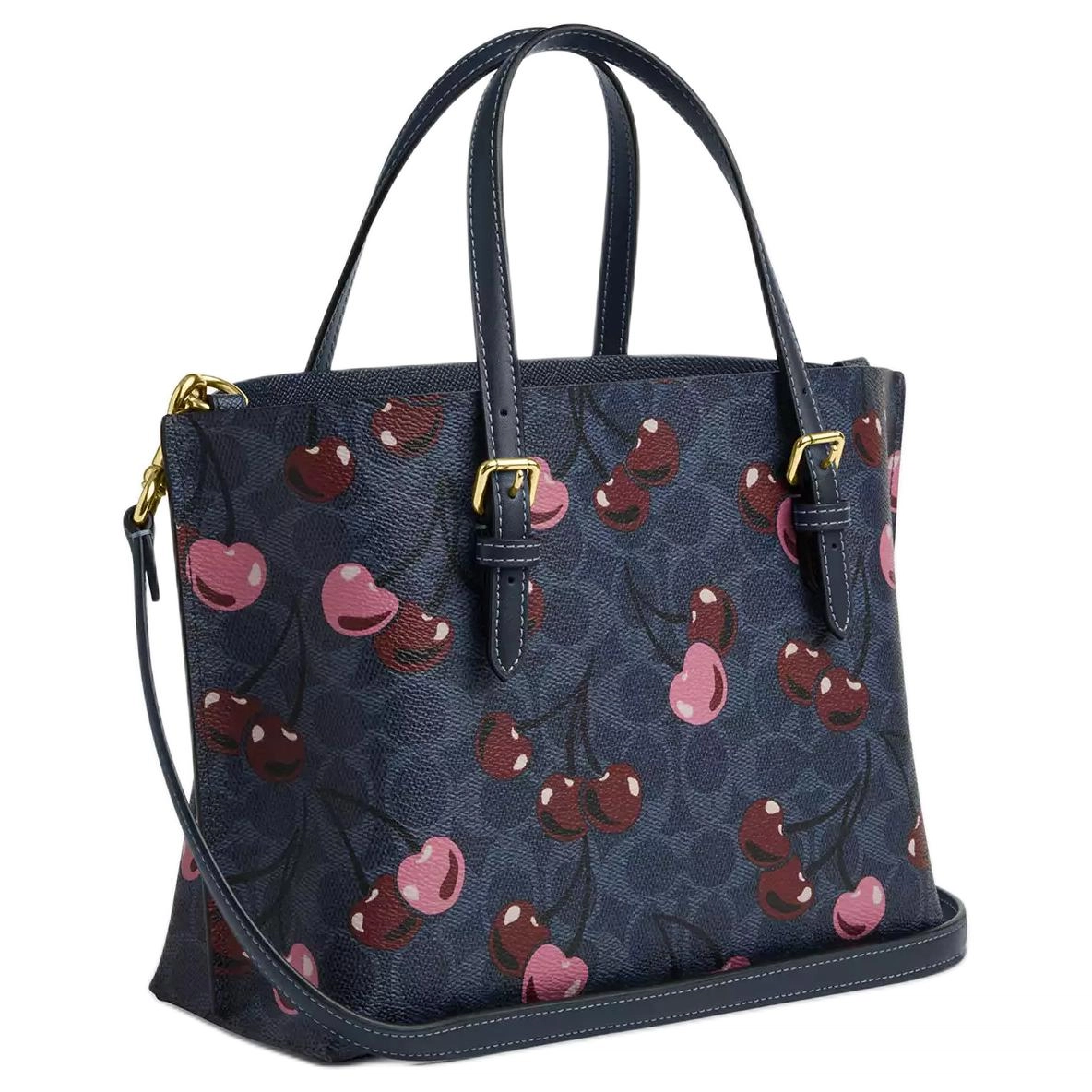 COACH Mollie 25 Tote