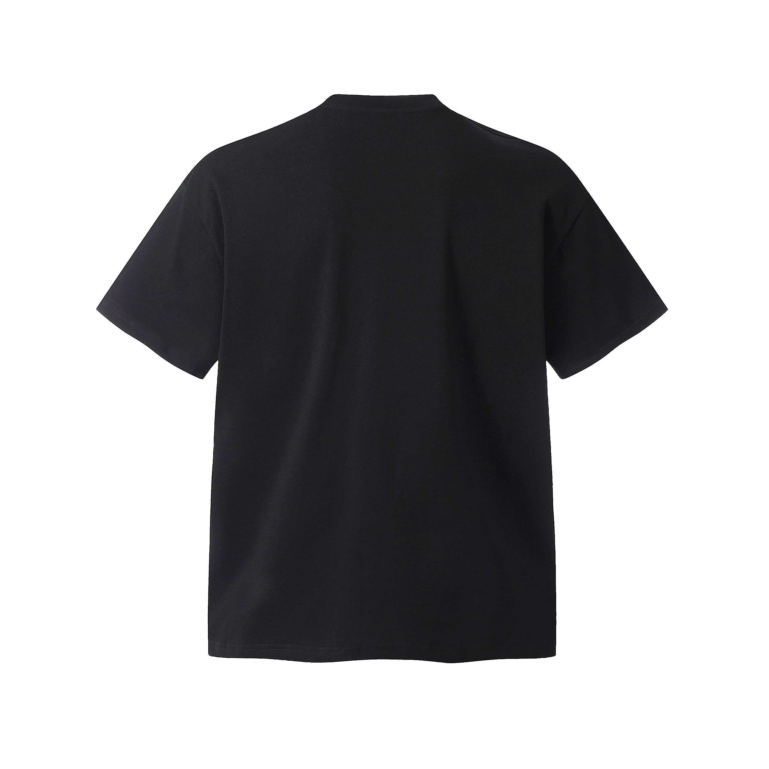 BLUELANDINC T