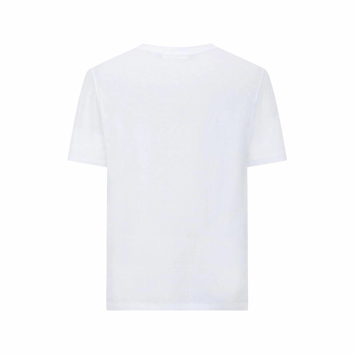 Cavalli Class T