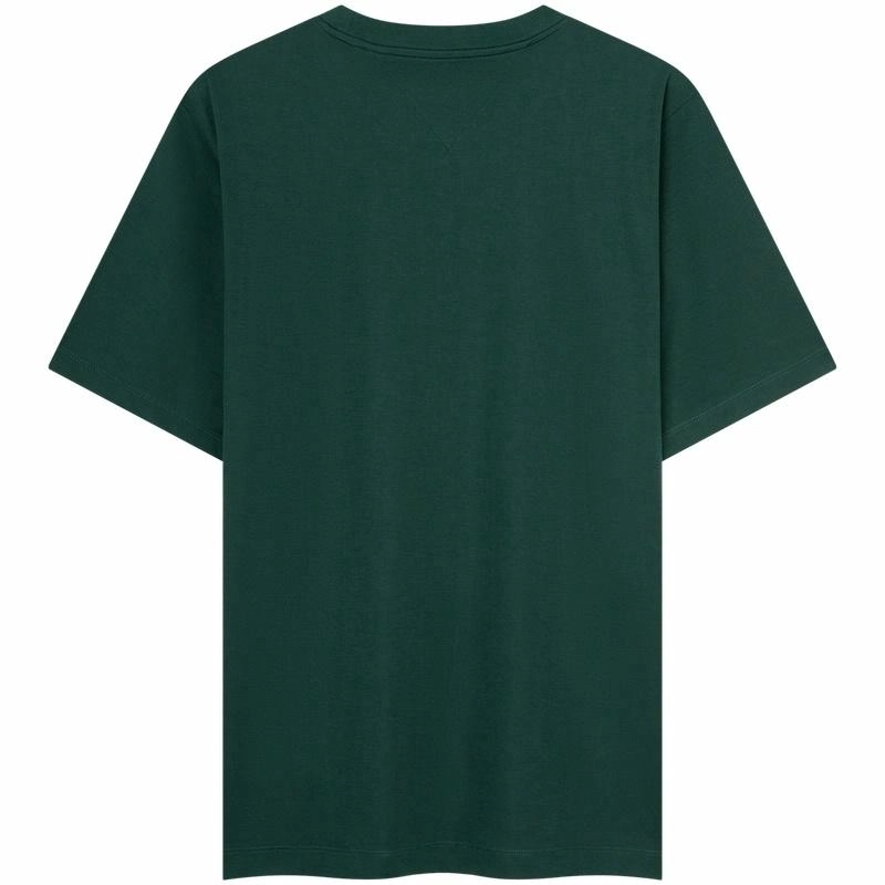 Tommy Hilfiger T
