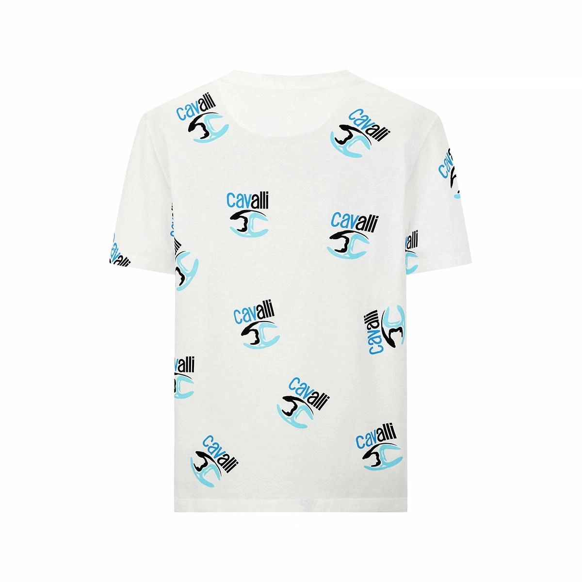 Cavalli Class T