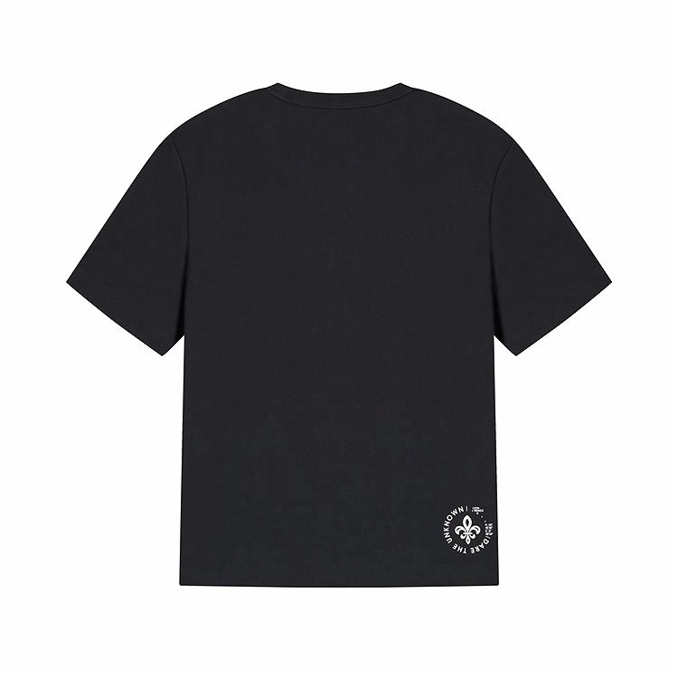 Palladium T