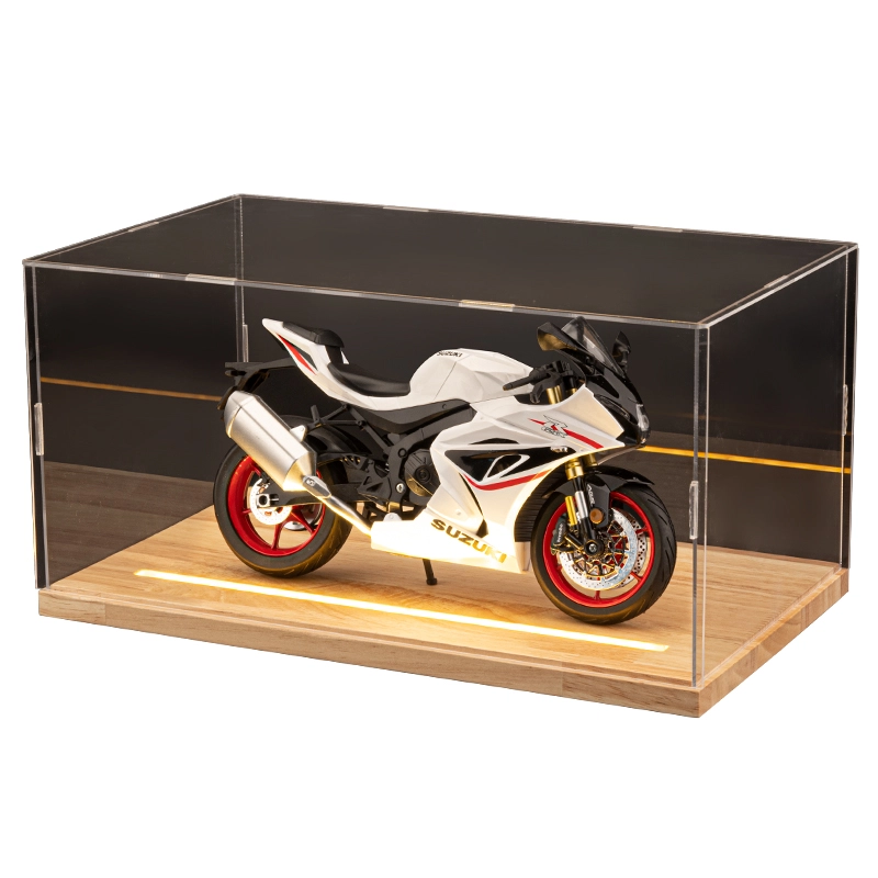 FEN JIE GSX-R1000 19