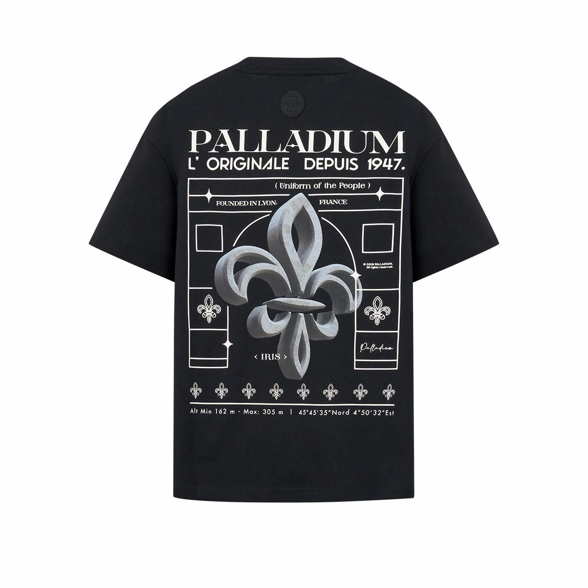 Palladium logoT