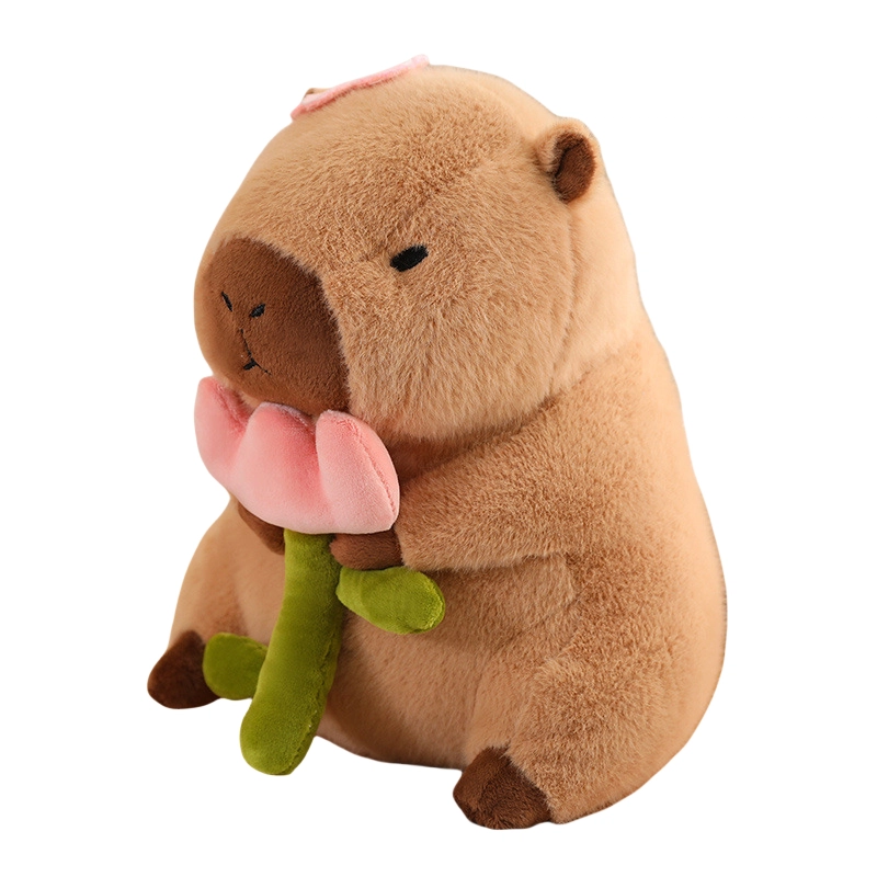 Brangdy 30cm40cm