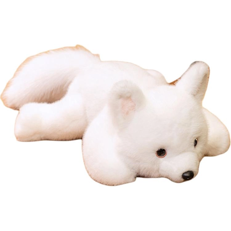 30cm