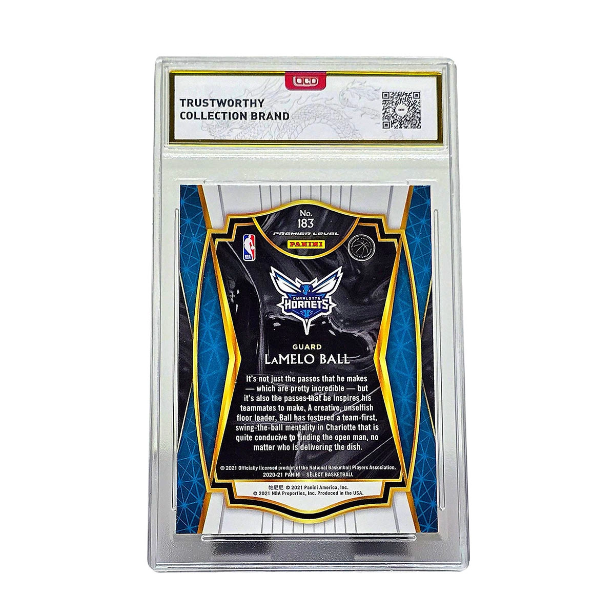 PANINI Select RC 360