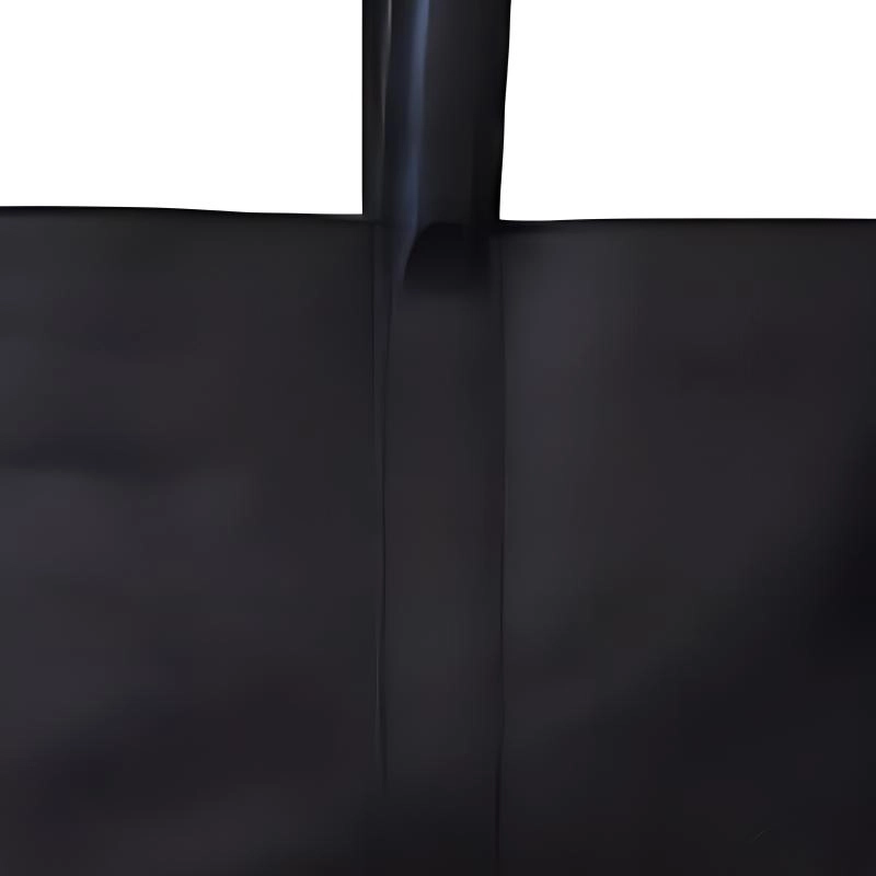 INES DE LA FRESSANGE Lonore Tote