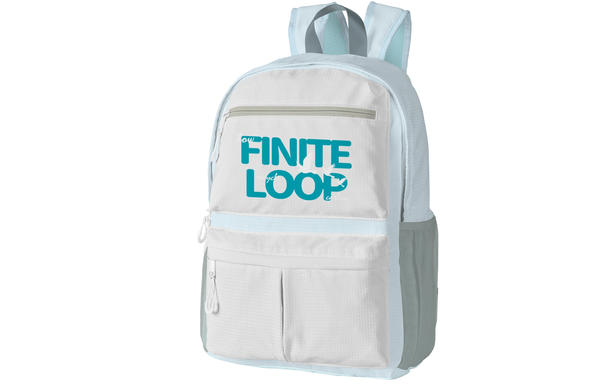 FINITE LOOP
