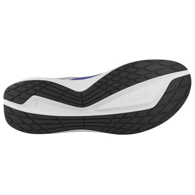 ecco Biom 2.2