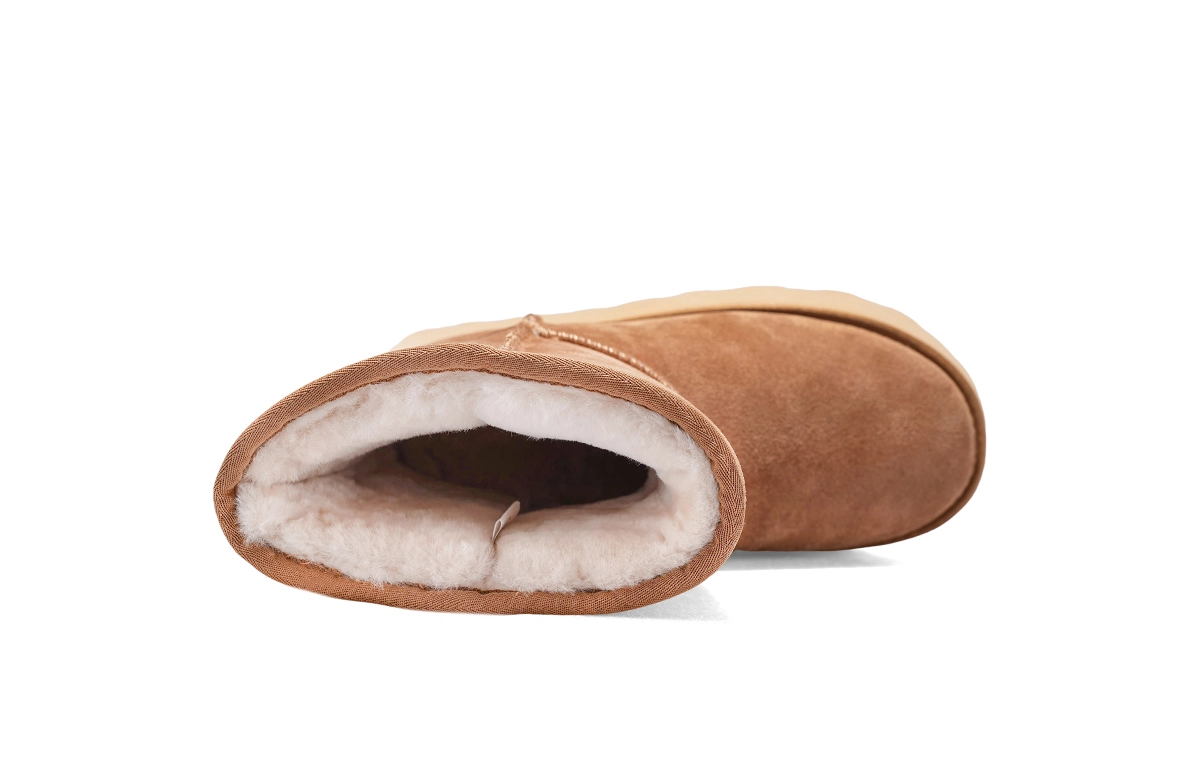 iiJin