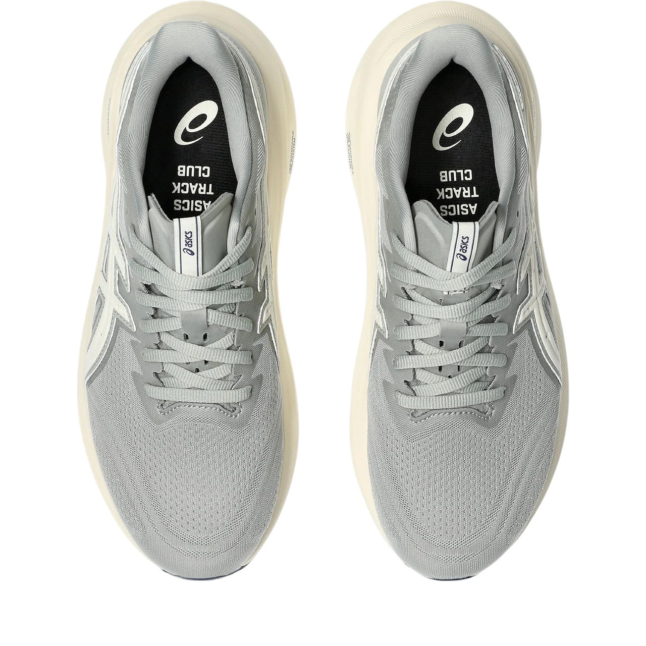 Asics GT-2000 13 ATC