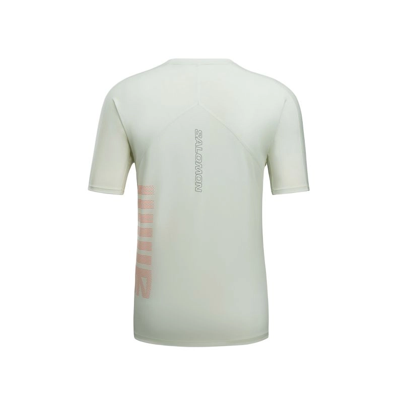 SALOMON Sense Aero SS T